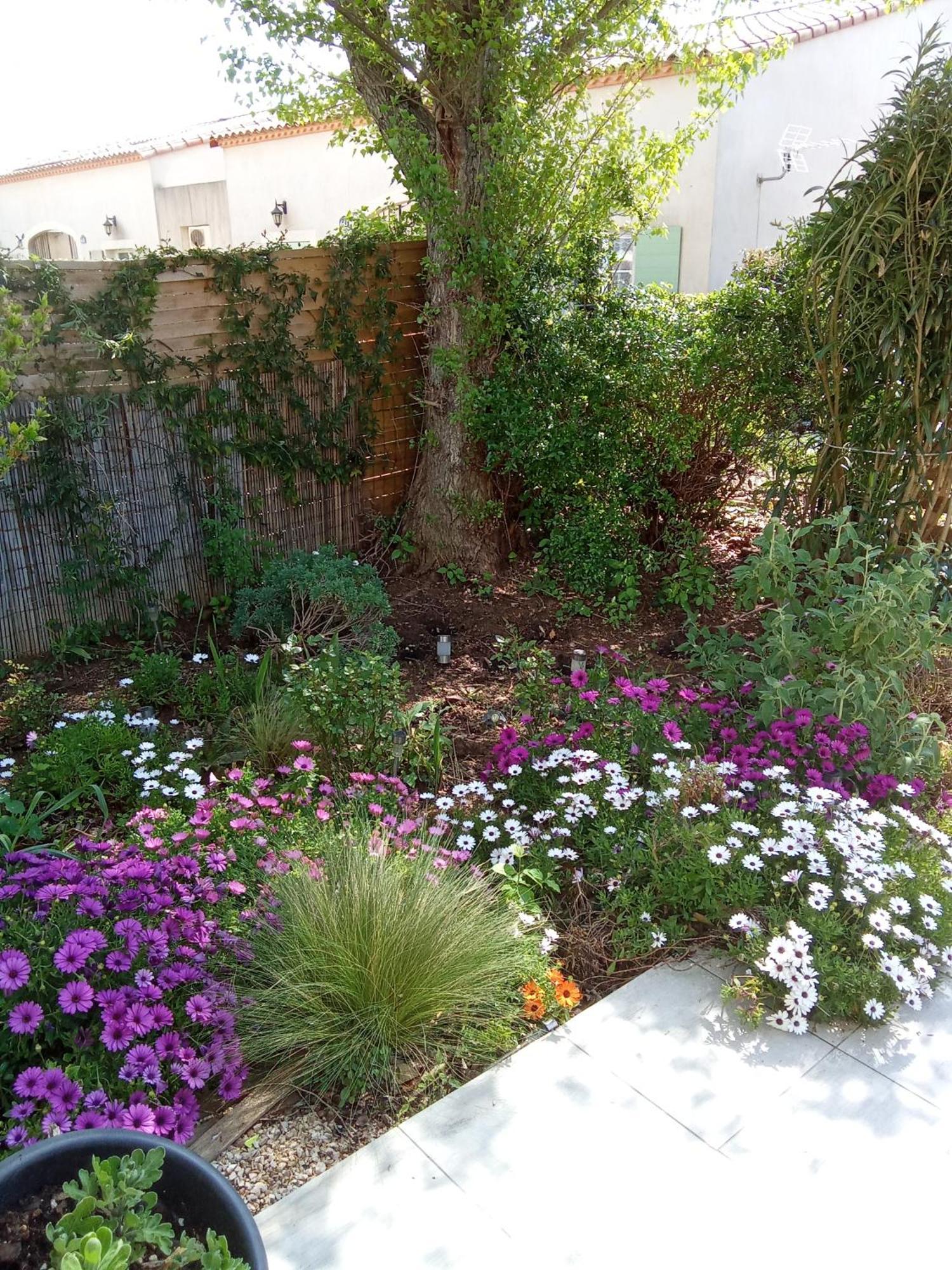 Maison Dans Une Residence De Vacances แกลลาเกอ-เลอ-มองต์เทอร์ ภายนอก รูปภาพ